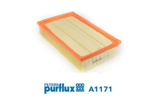 Air Filter A1171 Purflux