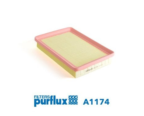 Air Filter A1174 Purflux