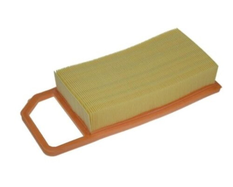 Air Filter A1180 Purflux