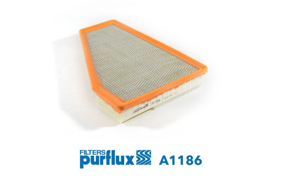 Air Filter A1186 Purflux