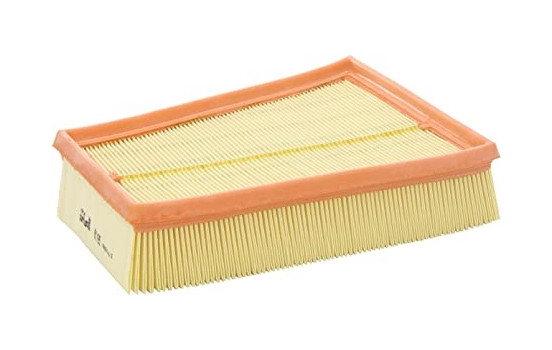 Air Filter A1195 Purflux