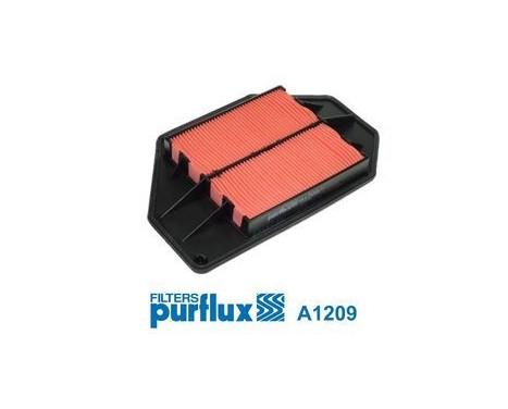 Air Filter A1209 Purflux