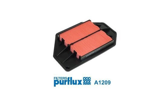Air Filter A1209 Purflux