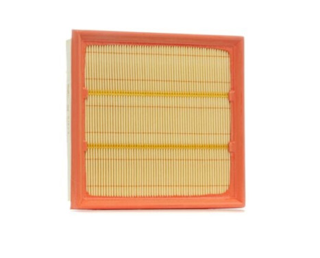 Air Filter A1223 Purflux