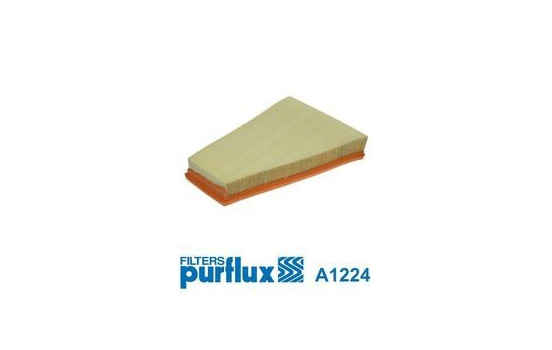 Air Filter A1224 Purflux