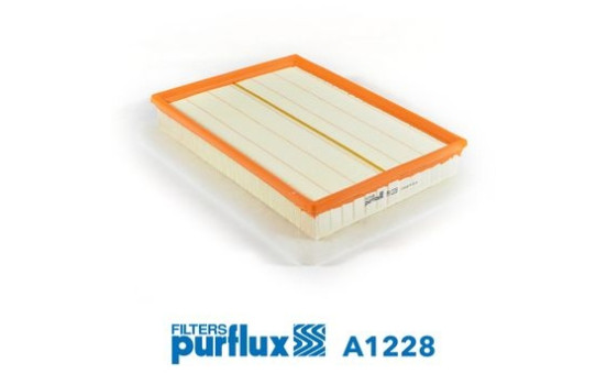 Air Filter A1228 Purflux