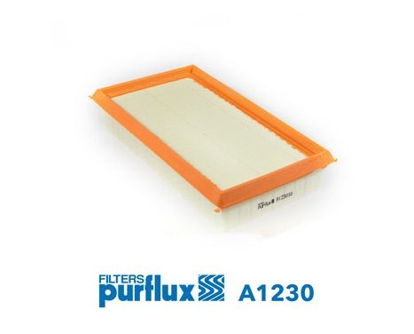 Air Filter A1230 Purflux