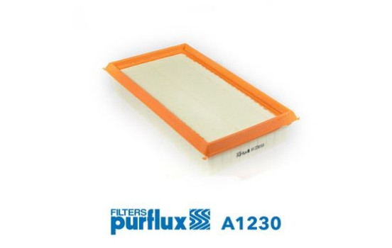 Air Filter A1230 Purflux