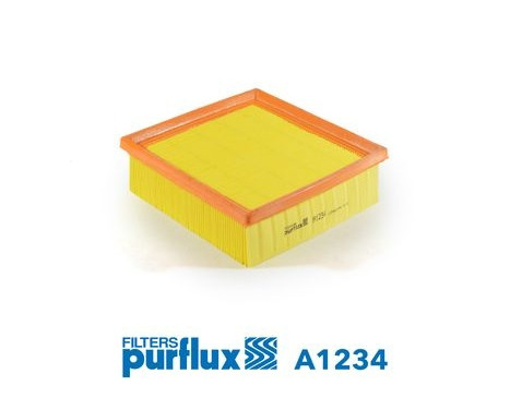 Air Filter A1234 Purflux