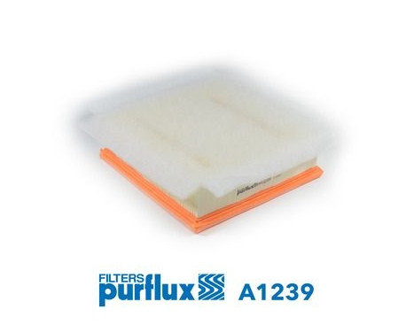 Air Filter A1239 Purflux