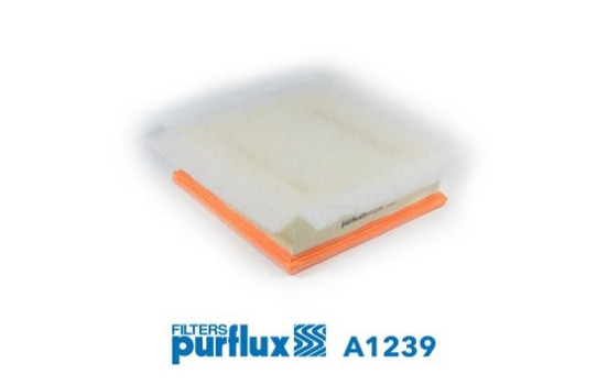 Air Filter A1239 Purflux