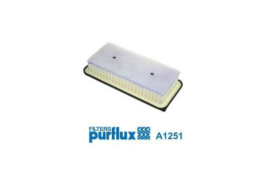 Air Filter A1251 Purflux