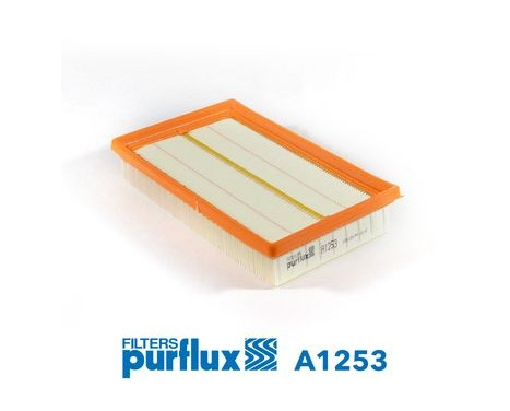 Air Filter A1253 Purflux