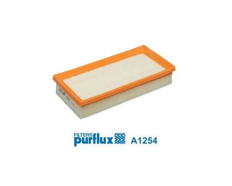 Air Filter A1254 Purflux