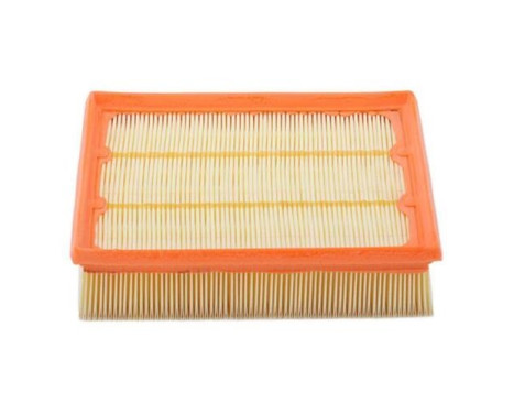 Air Filter A1265 Purflux