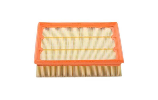 Air Filter A1265 Purflux