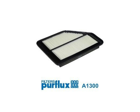 Air Filter A1300 Purflux