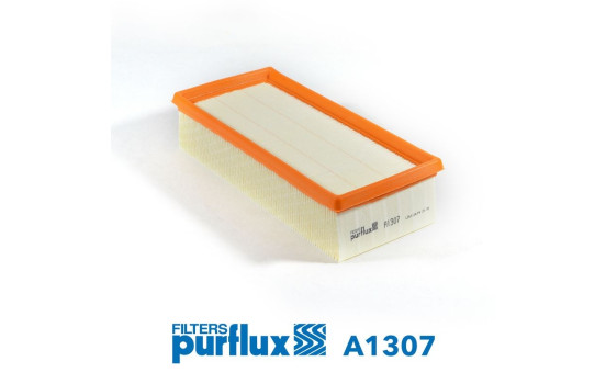 Air Filter A1307 Purflux