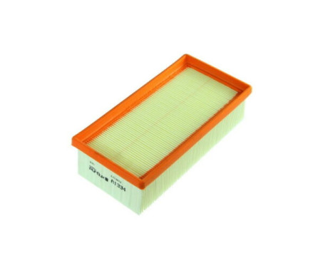 Air Filter A1334 Purflux