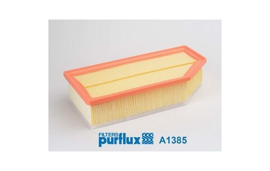 Air Filter A1385 Purflux
