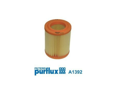 Air Filter A1392 Purflux