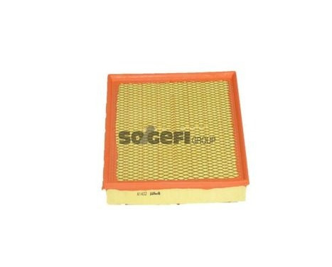 Air Filter A1402 Purflux