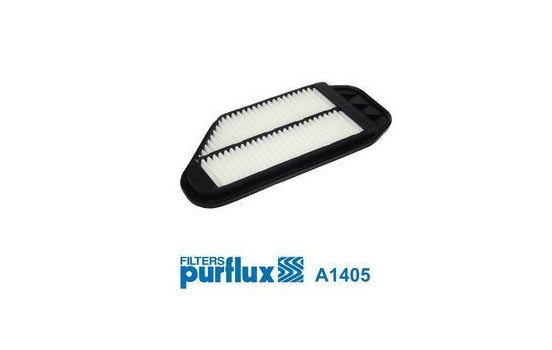 Air Filter A1405 Purflux