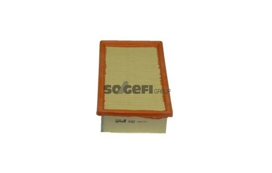 Air Filter A1482 Purflux