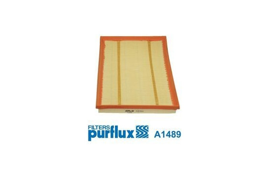 Air Filter A1489 Purflux