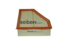 Air Filter A1542 Purflux