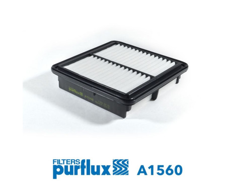 Air Filter A1560 Purflux