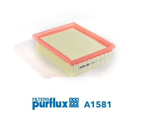 Air Filter A1581 Purflux