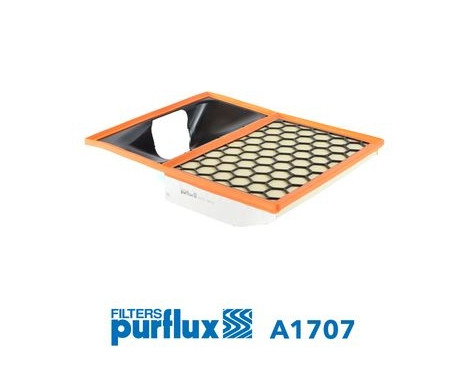 Air Filter A1707 Purflux