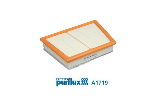 Air Filter A1719 Purflux