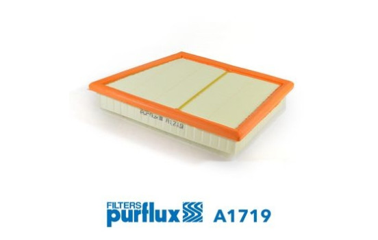 Air Filter A1719 Purflux