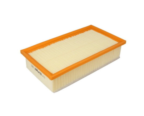 Air Filter A1725 Purflux