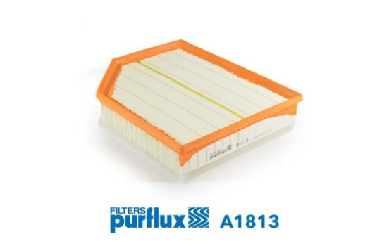 Air Filter A1813 Purflux