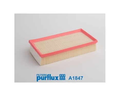 Air Filter A1847 Purflux