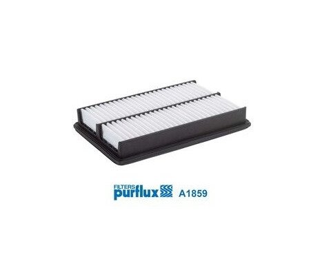 Air Filter A1859 Purflux