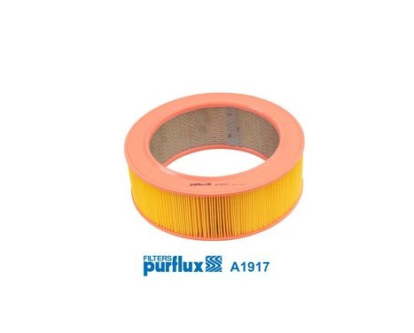 Air Filter A1917 Purflux