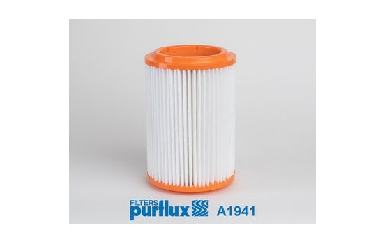 Air Filter A1941 Purflux