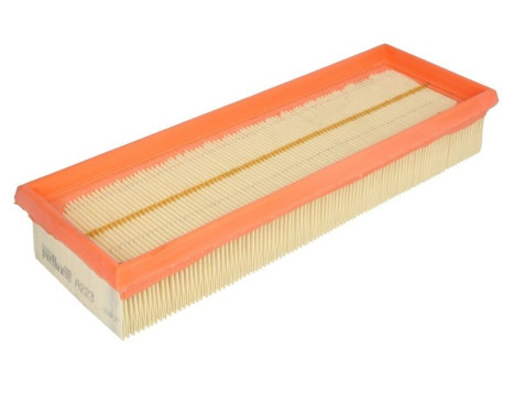 Air Filter A223 Purflux