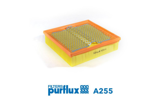 Air Filter A255 Purflux