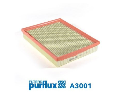 Air filter A3001 Purflux