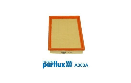 Air Filter A303A Purflux