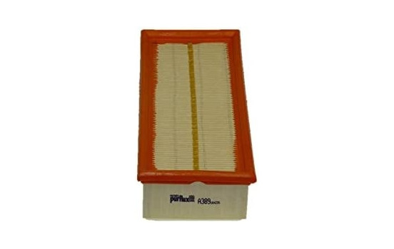 Air Filter A389 Purflux