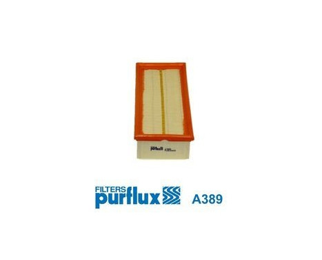Air Filter A389 Purflux, Image 2