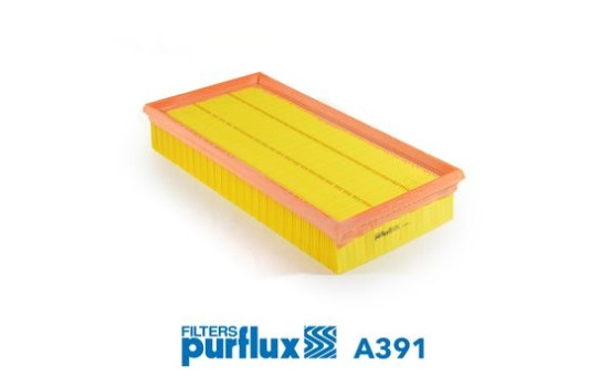 Air Filter A391 Purflux