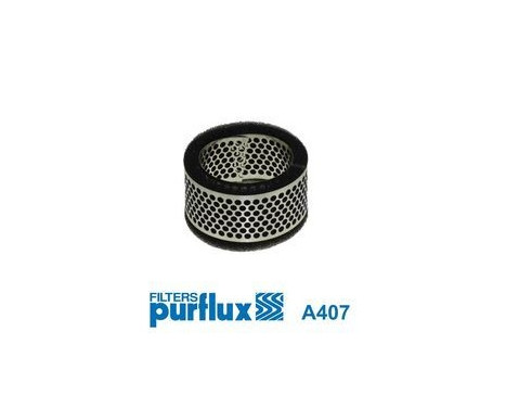 Air Filter A407 Purflux