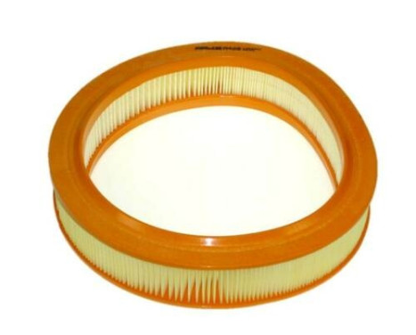 Air Filter A460 Purflux
